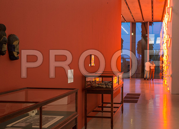 20140821_Pamm_CG3P1021