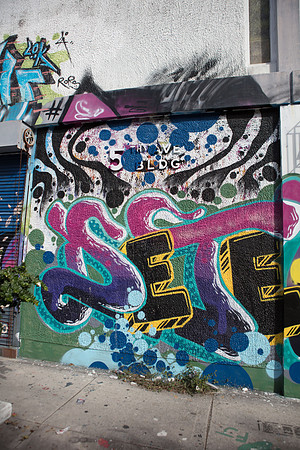 20161108_Wynwood_S5D3140