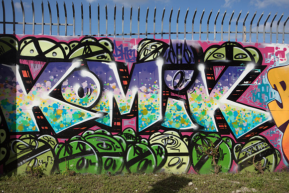 20161108_Wynwood_S5D3032