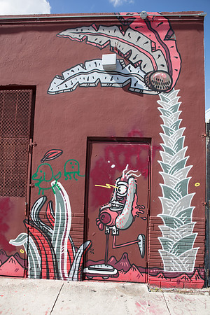 20161108_Wynwood_H5D2819