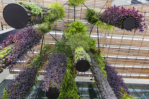 20150707_Pamm_9C7C3457