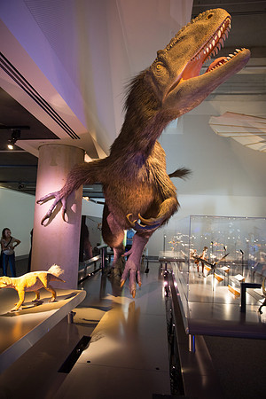 20170508_Science_Museum_9C7C5692