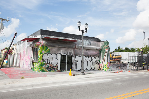 20160708_Wynwood_14_Ave_Demo_9C7C0021