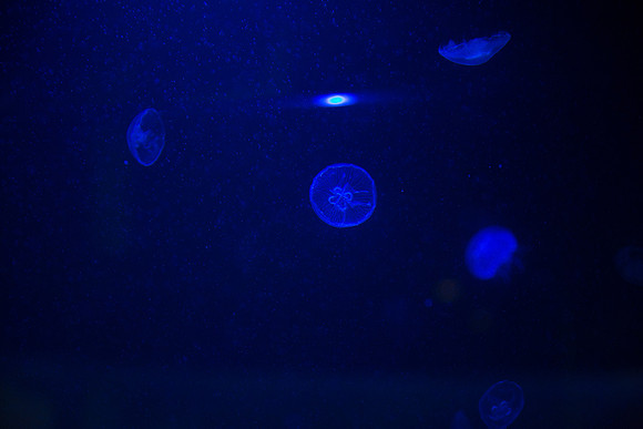 20170508_Science_Museum_9C7C5430