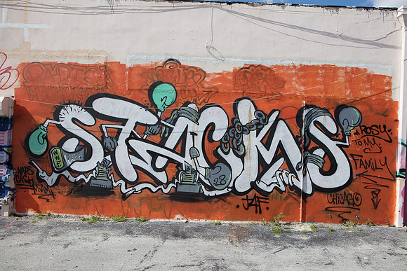 20161108_Wynwood_H5D2889