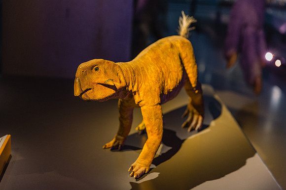 20170508_Science_Museum_9C7C5687