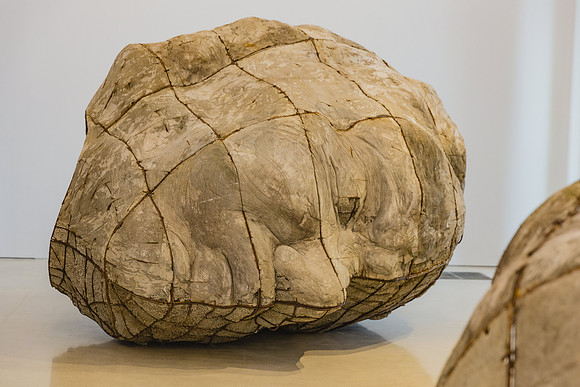 20150530_Pamm_Exhibition_Linda_9C7C8085