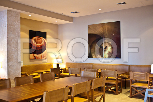 3129_DG_Grand_Beach_Hotel_Miami_FL_5L8Y1896