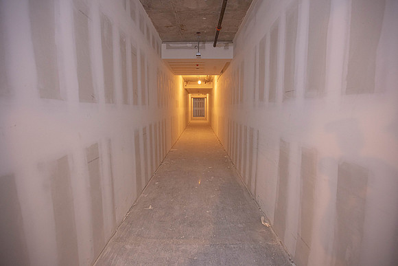 20230210_AMLI_Wynwood_Moriarty075A7565