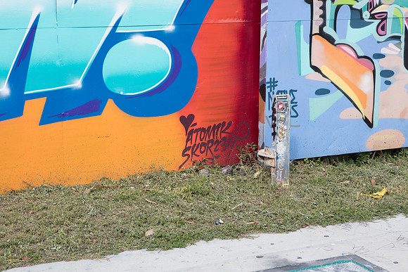 20161108_Wynwood_S5D3019