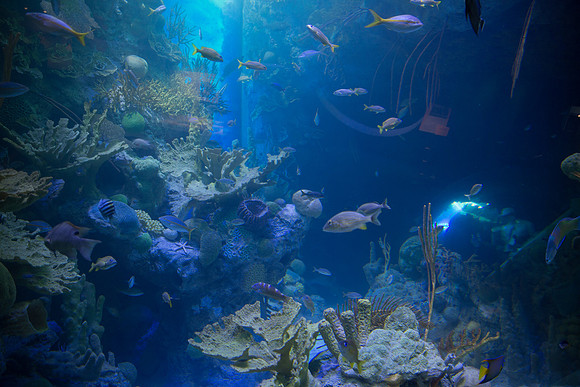 20170508_Science_Museum_9C7C5365