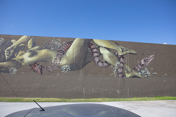 20161108_Wynwood_H5D2790
