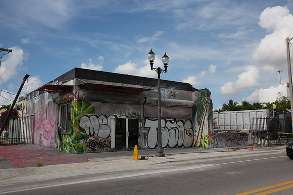 20160708_Wynwood_14_Ave_Demo_9C7C0016