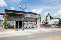 20160708_Wynwood_14_Ave_Demo_9C7C0026