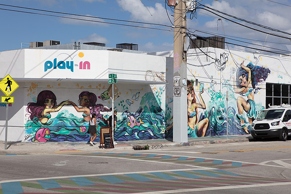 20161108_Wynwood_S5D3000