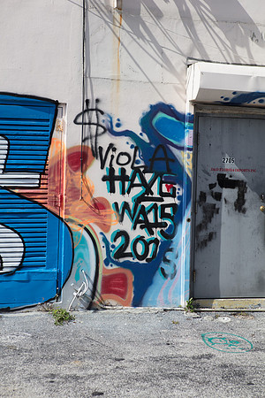 20161108_Wynwood_H5D2885