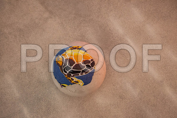20140821_Pamm_Pamm_Museum_IMG_2464