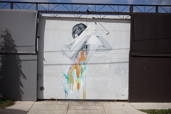 20161108_Wynwood_S5D3229