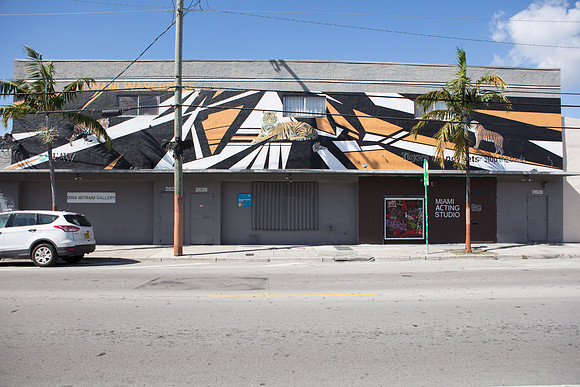 20161108_Wynwood_H5D2742