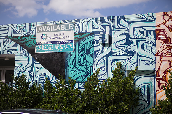 20161108_Wynwood_S5D3243