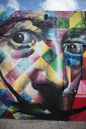 20161108_Wynwood_H5D2995