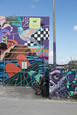 20161108_Wynwood_H5D2796