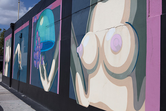 20161108_Wynwood_H5D2874