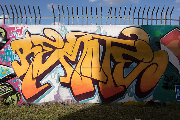 20161108_Wynwood_S5D3027