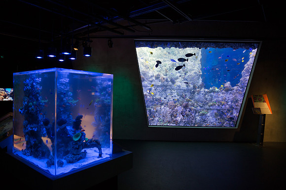 20170508_Science_Museum_9C7C5353