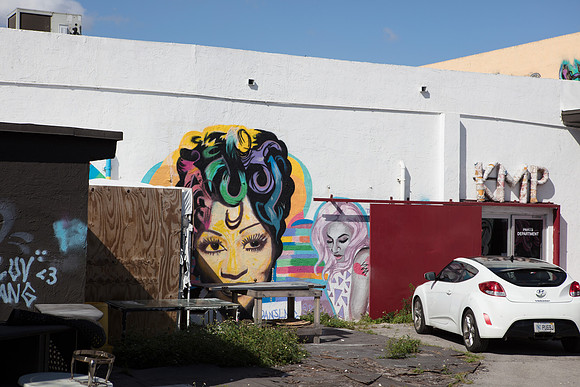 20161108_Wynwood_H5D2689