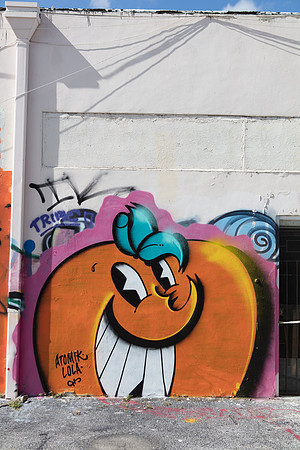 20161108_Wynwood_H5D2890