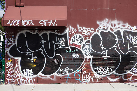 20161108_Wynwood_H5D2836