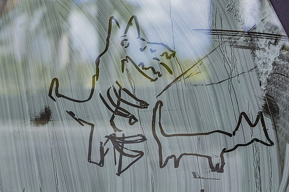 20150530_Pamm_Exhibition_Linda_9C7C7805