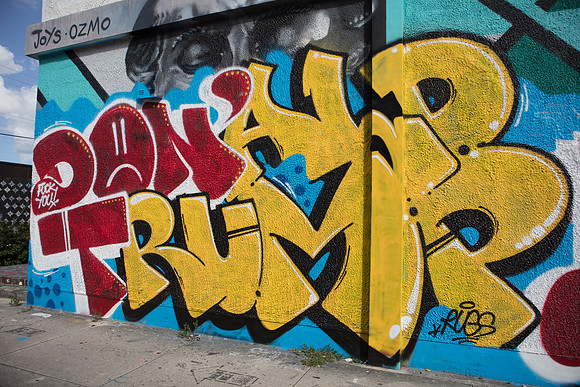 20161108_Wynwood_S5D3138