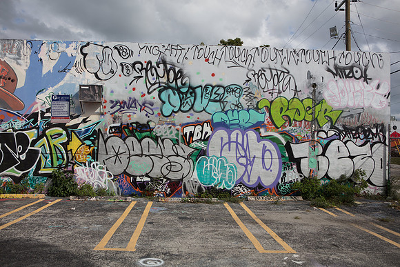 20161108_Wynwood_S5D3204