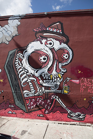 20161108_Wynwood_H5D2822