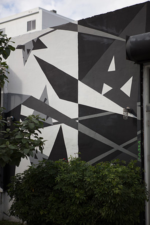 20161108_Wynwood_S5D3251