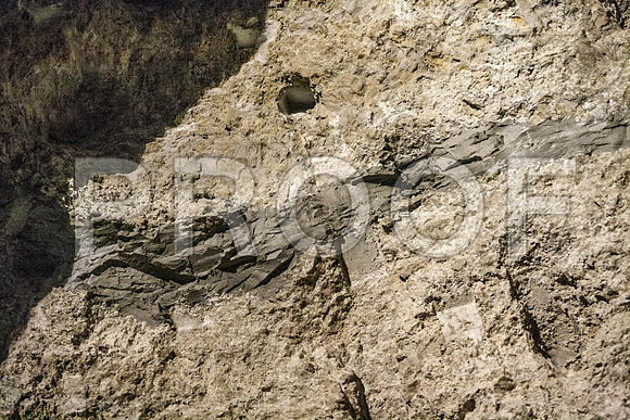 _A0M2148