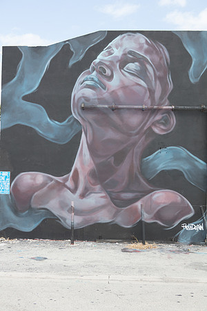 20161108_Wynwood_H5D2941