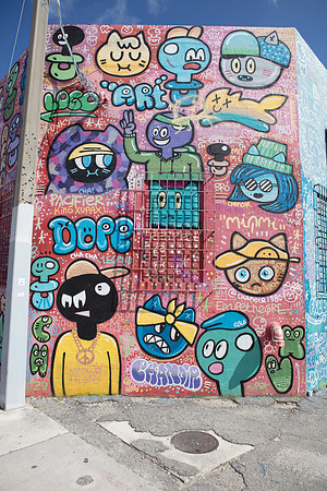 20161108_Wynwood_H5D2809