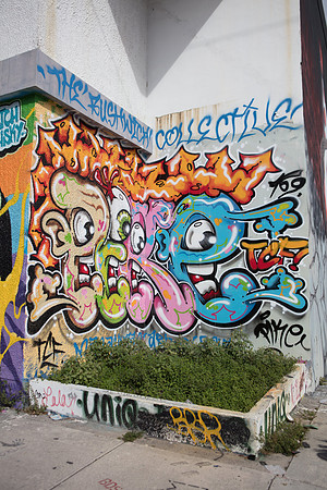 20161108_Wynwood_S5D3150