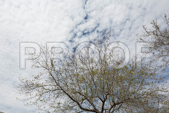 20140228_FIU_Nick_EXB_9C7C1546