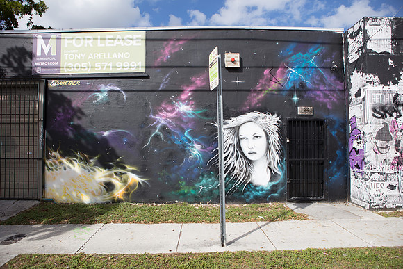 20161108_Wynwood_S5D3083