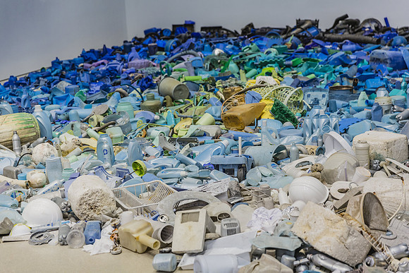 20150707_Pamm_9C7C3505
