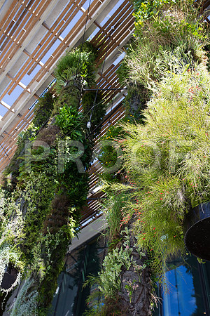 20140801_Pamm_9C7C7887