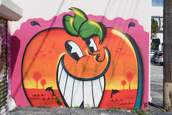 20161108_Wynwood_H5D2880