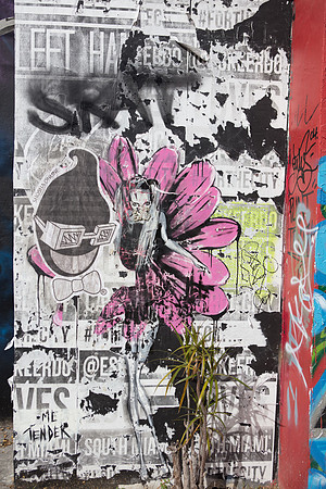 20161108_Wynwood_S5D3081