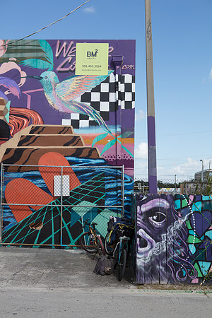 20161108_Wynwood_H5D2795