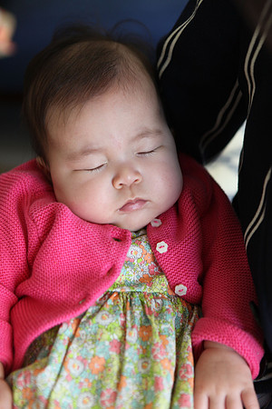 20141123_Rafi_Sharon_IMG_7300