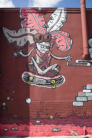 20161108_Wynwood_H5D2826